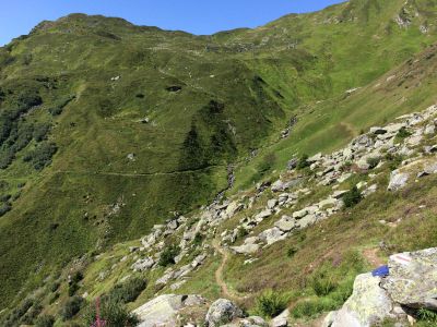 03Dienstag C DI 2017 08 15 10 44 20