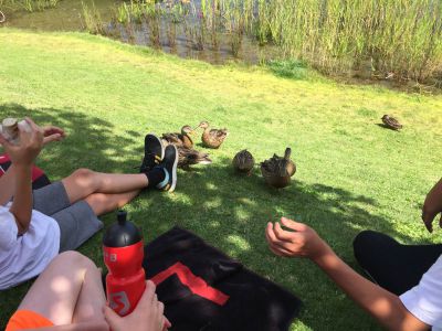 03Dienstag D DI 2017 08 15 13 27 05